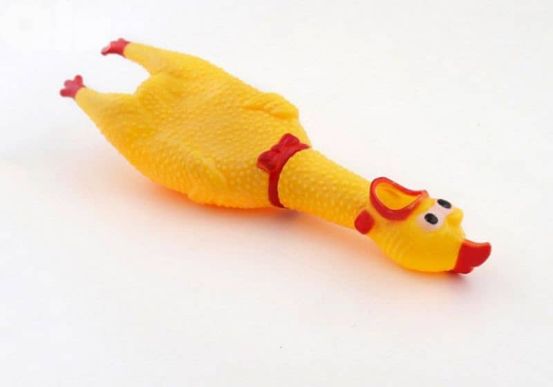 hilarious screaming chicken 5$ 3