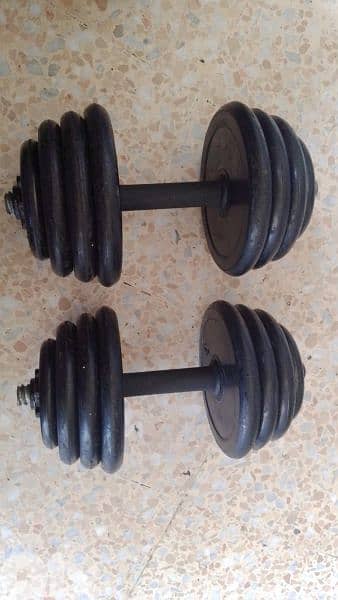 DUMBELLS with weights 03027072 GEO SPORTS