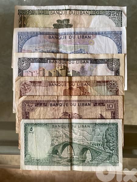 Lebanese currency 1