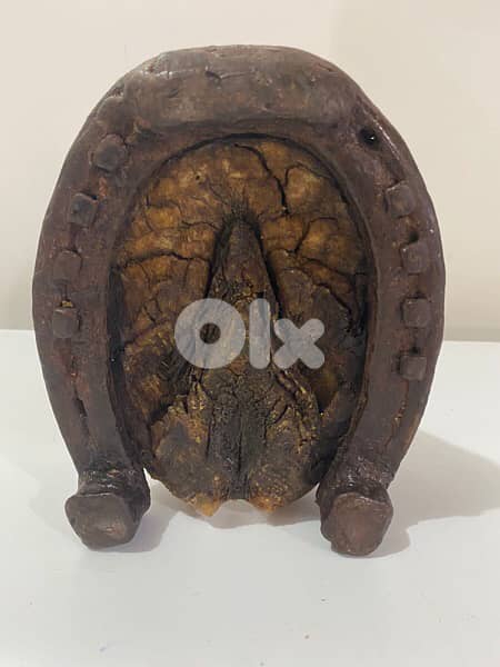 antique original 19th century horse shoe with sabot 3