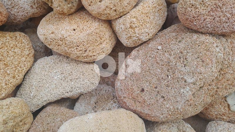 بحص حجارة للديكور 3