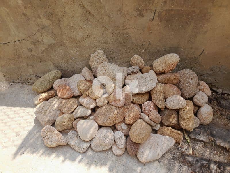 بحص حجارة للديكور 2