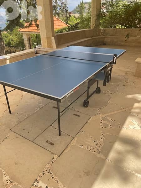outdoor table tennis (germany) 2