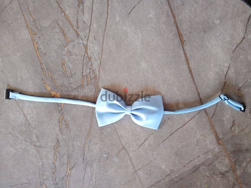 NEW papillon - blue- market rate 1