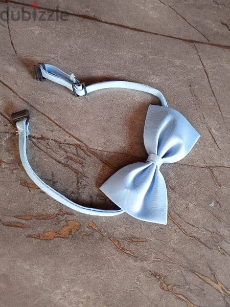 NEW papillon - blue- market rate 2
