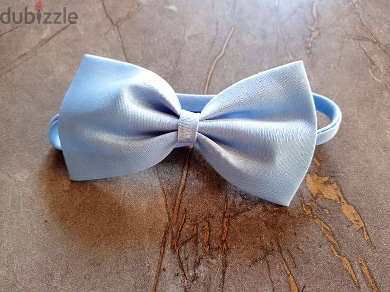 NEW papillon - blue- market rate 3