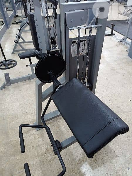 BICEPS SEATED BENCH WITH WEIGHTS 03027072 GEO SPORTS AND GYM EQUIPMENT 0