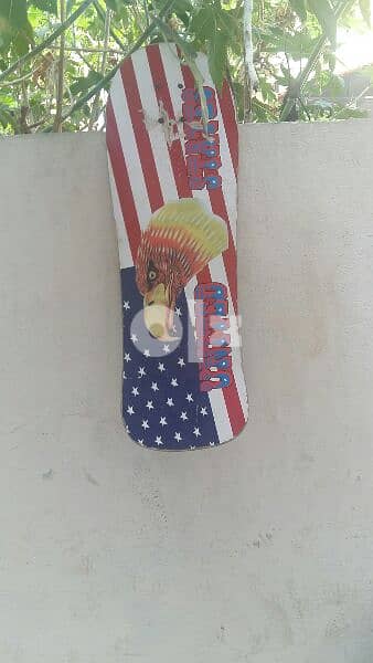 skatboard 0