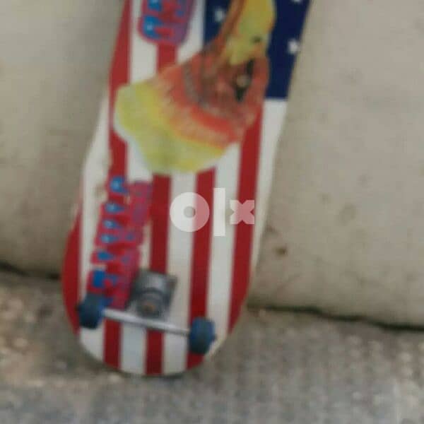 skatboard 1