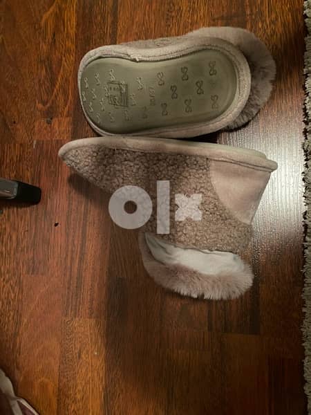 Free delivery inside beirut 1