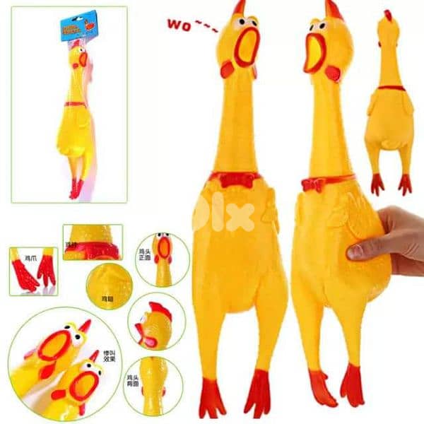 hilarious screaming chicken 5$ 2