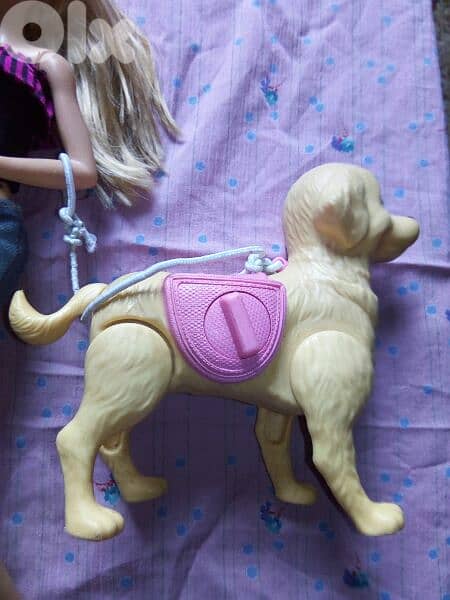 "Barbie SPLISH PUP" as new doll Mattel 2017 flex legs +Dog, both=35$ 5