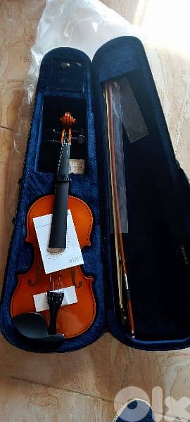 violin with all accessories 1
