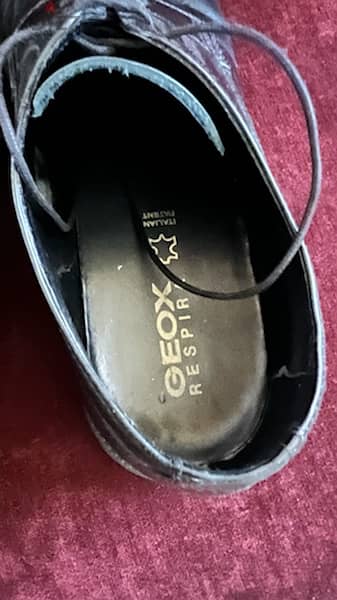 Geox shoes for men 20$ 0