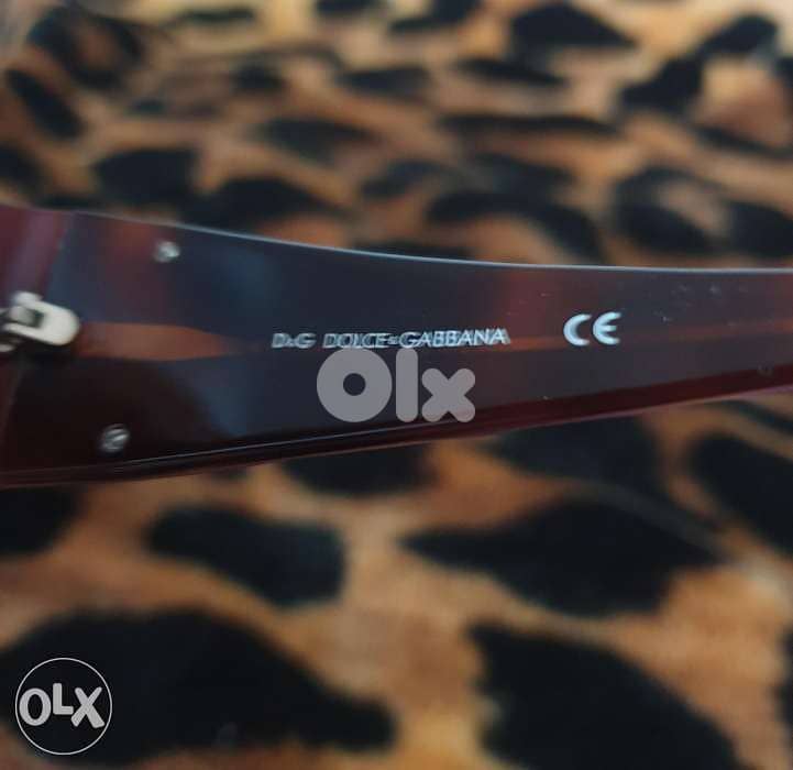 D&G Woman Sunglasses 3