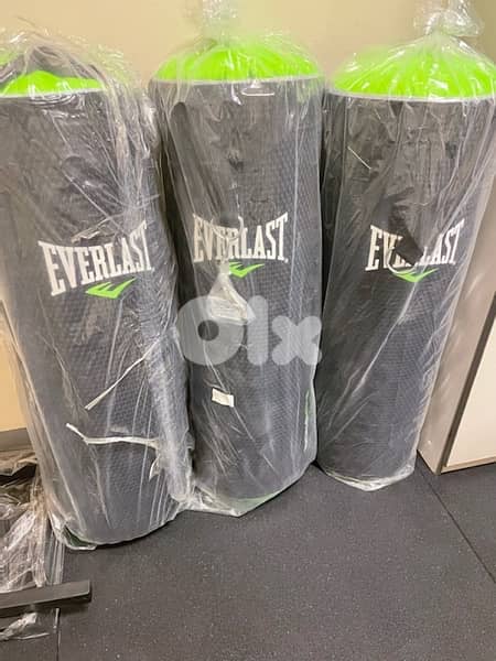 Orginal Everlast Everstrike boxing bag 110 cm 0