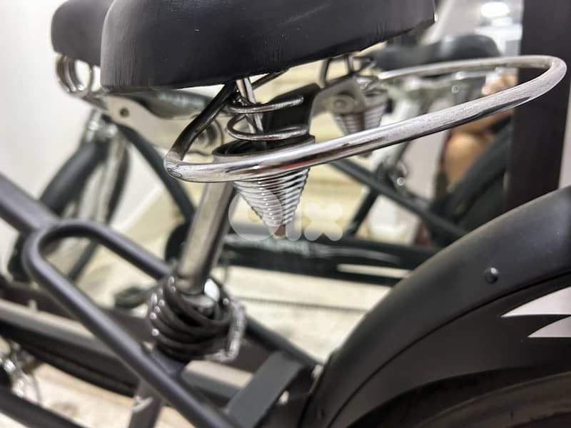 city beach cruiser - Harley style 8