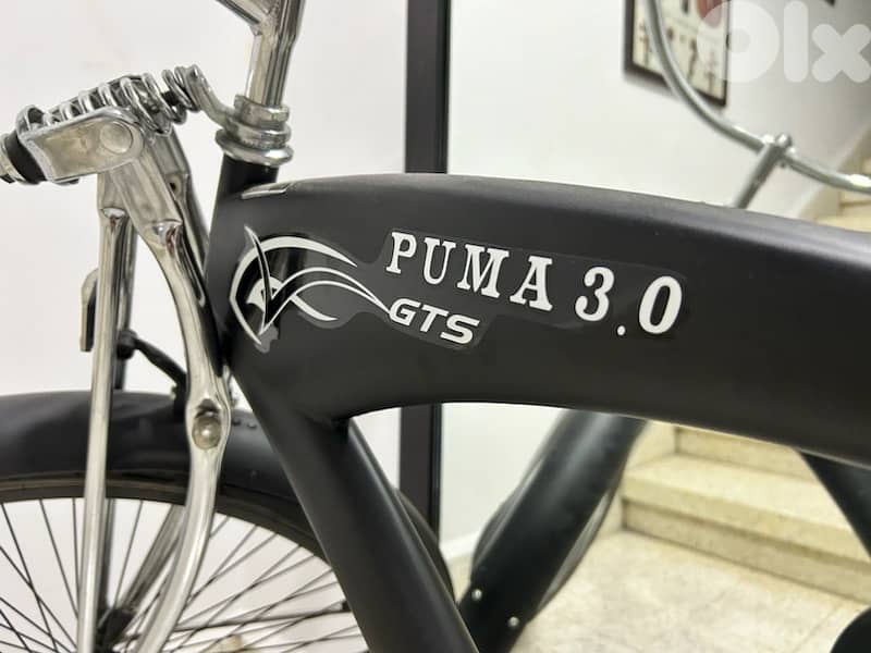 city beach cruiser - Harley style 9