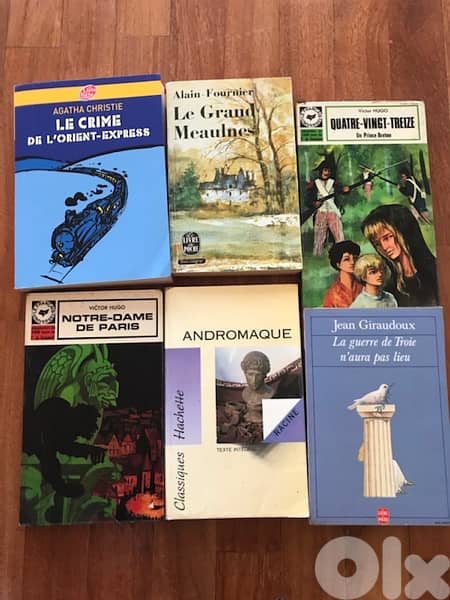 Books in French 3
