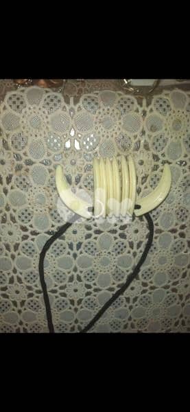 necklace for men tooth vegan 2