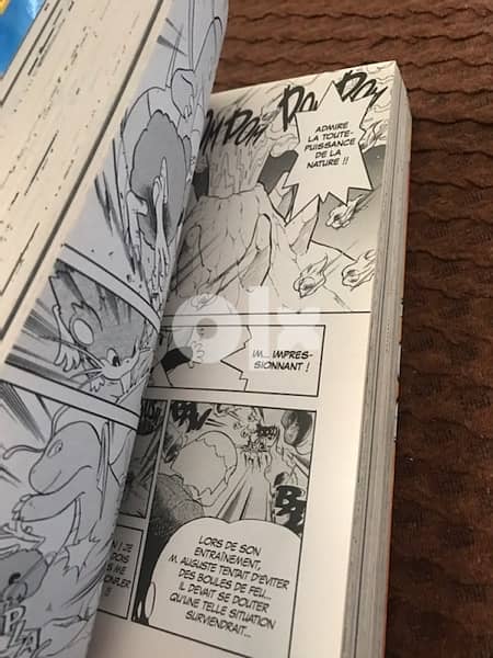 pokemon grande livre 2