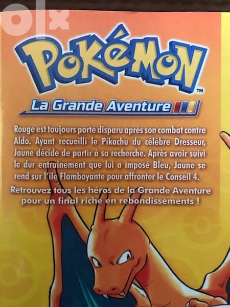pokemon grande livre 3