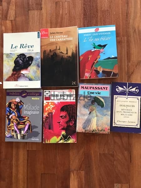 Books in French 1