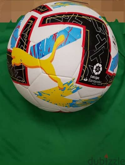 Puma Footballs