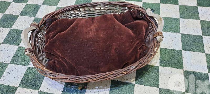 Basket with couch. could be Pet bed 0