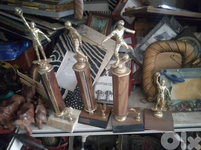 تشكيلة واسعة من الكؤس الرياضية 0