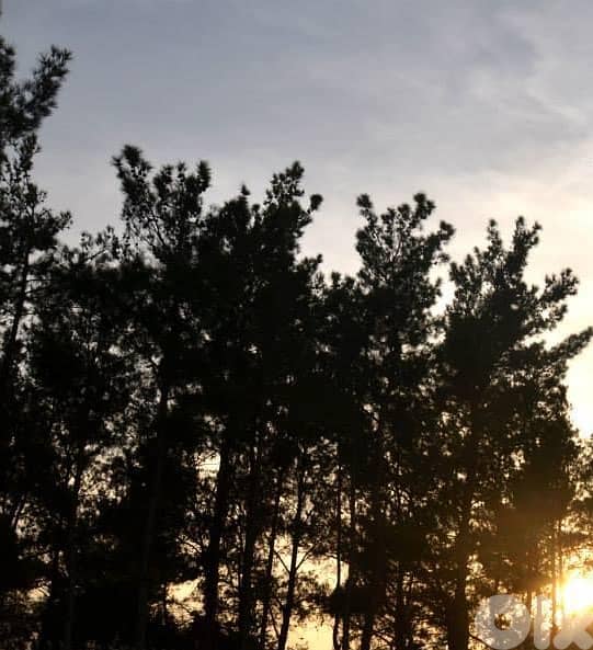 RABWEH PRIME (240Sq) WITH GARDEN AND VIEW , (RAB-114) 0