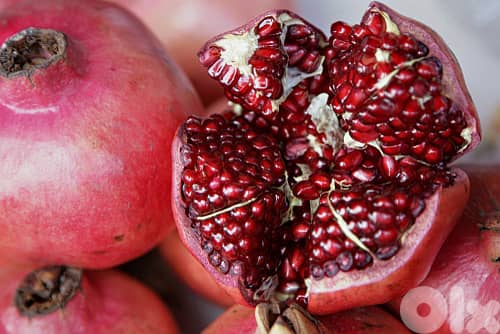 Italian pomegranate 0