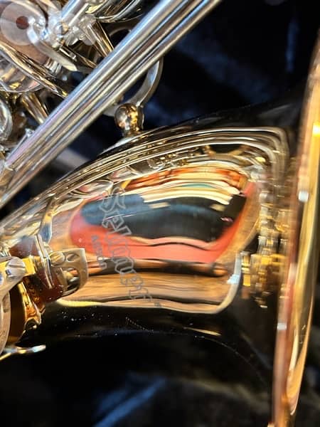 Selmer Saxophone Alto 9