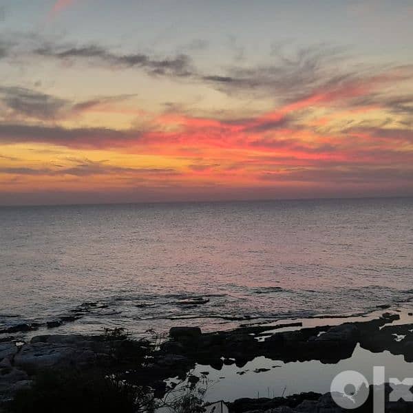 Beachfront Chalet in Jbeil 3