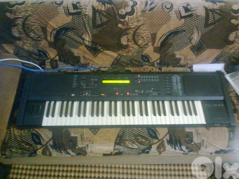 شحيم مممممم 1