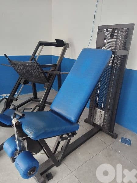 American Legs extention techno Gym  03027072جميع المعدات الرياضية د 0