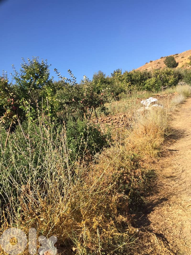 Land for Sale in Zaarour EL Mtein ارض للبيع في المتين / زعرور 4