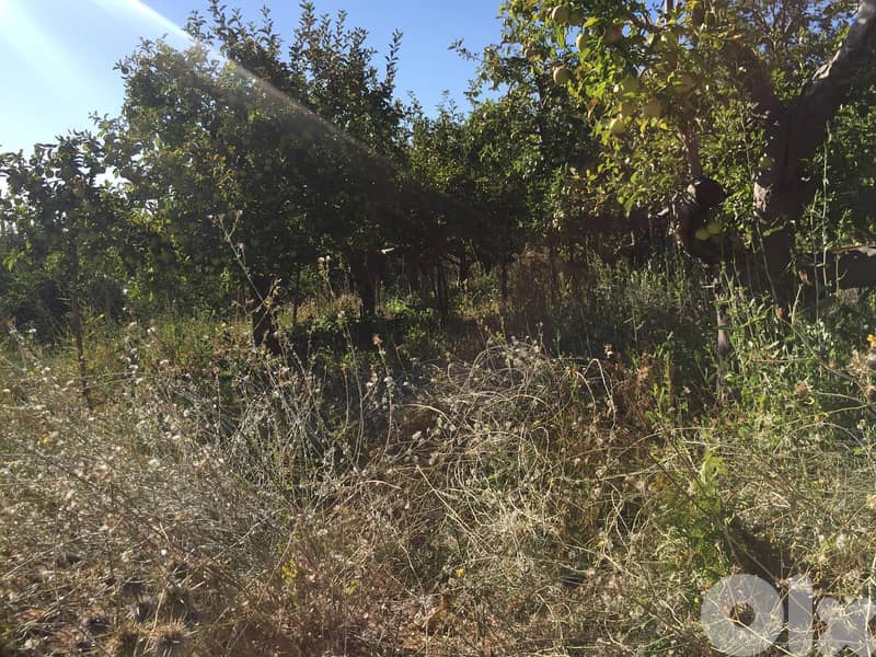 Land for Sale in Zaarour EL Mtein ارض للبيع في المتين / زعرور 2
