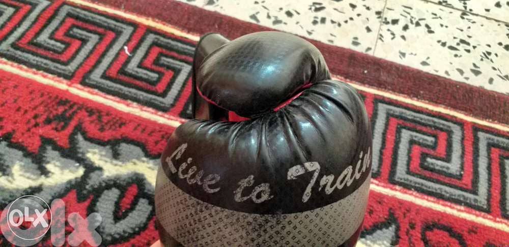 كفوف ملاكمه 2