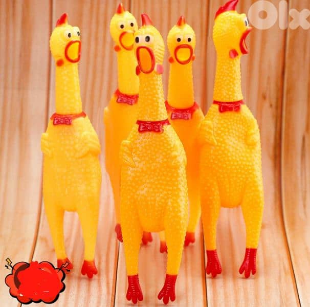 hilarious screaming chicken 5$ 1