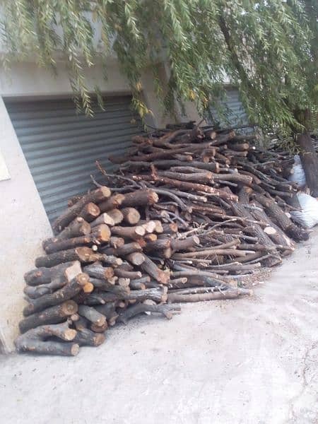 حطب للبيع 3