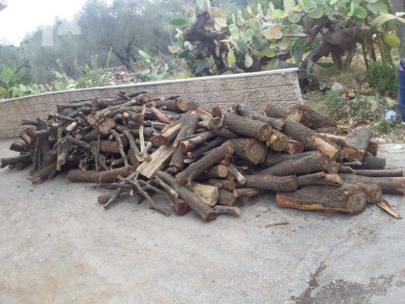 حطب للبيع 9