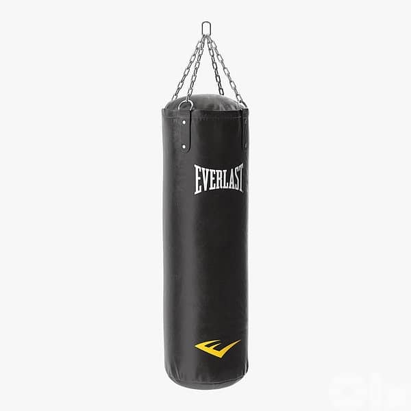 Everlast Pro Heavy soft bag 1