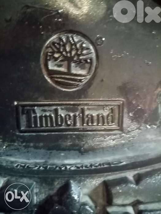 Rinjer Tamberland orijinale 1