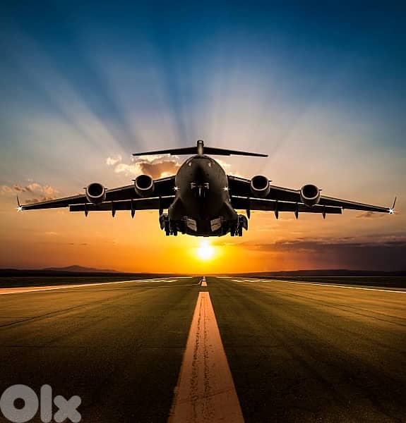 Cargo anytime , anywhere , import , export , clearance , Sea/Air 0