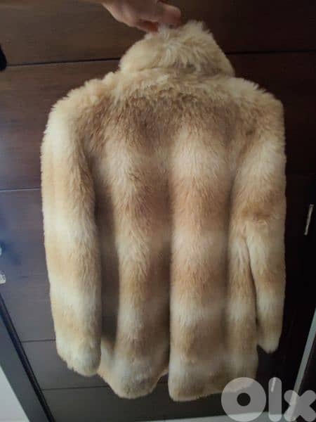 fur jacket 1