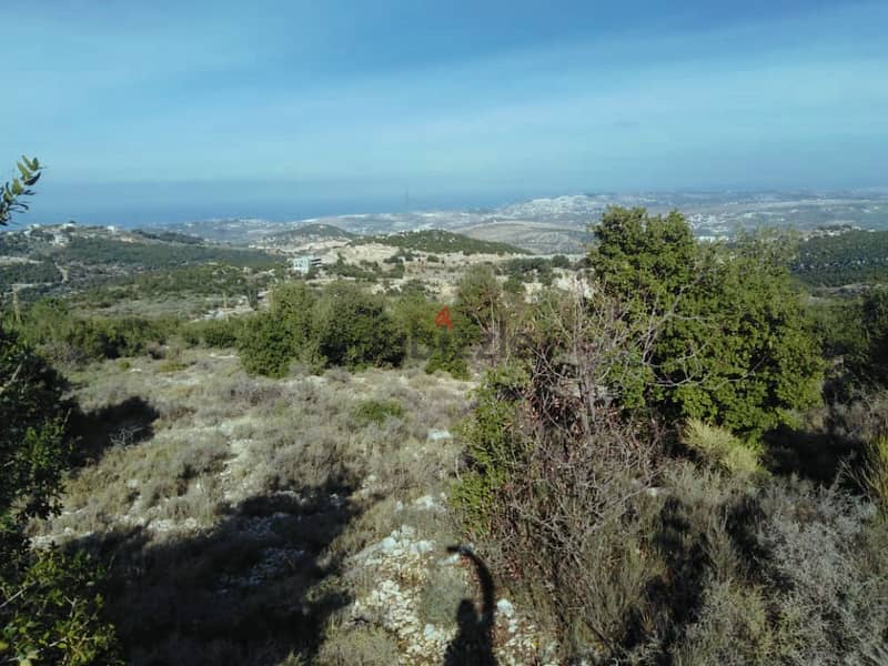 1800 SQM Prime Location Land in Asia, Batroun 0