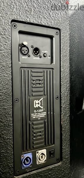 2 CVR Monitors  12” 600w each 1