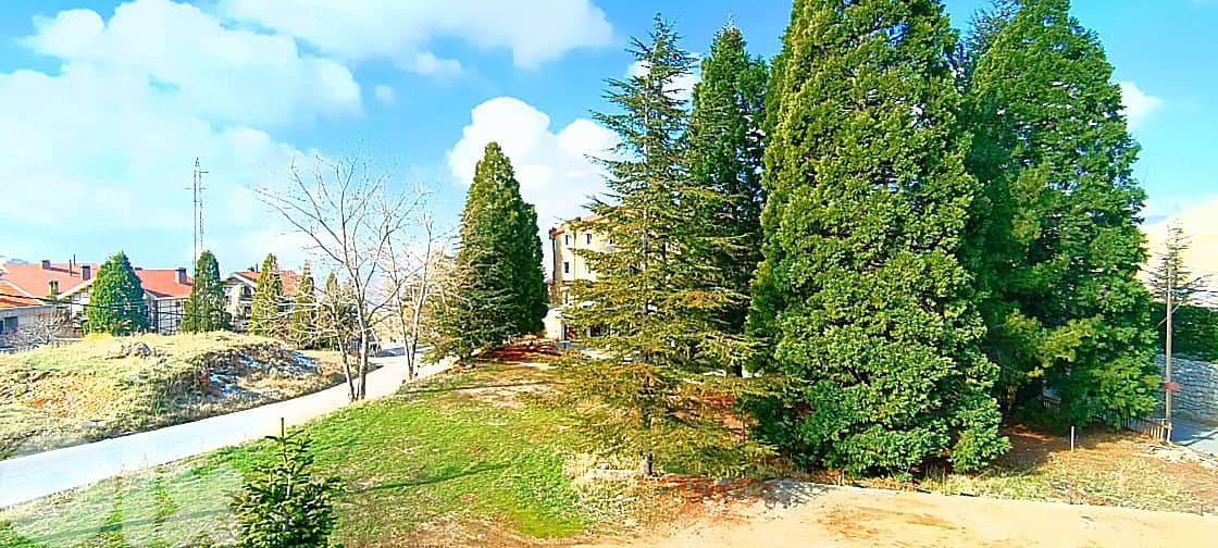 L10754-Furnished Triplex Chalet with Garden For Rent Ouyoun El Simen 4