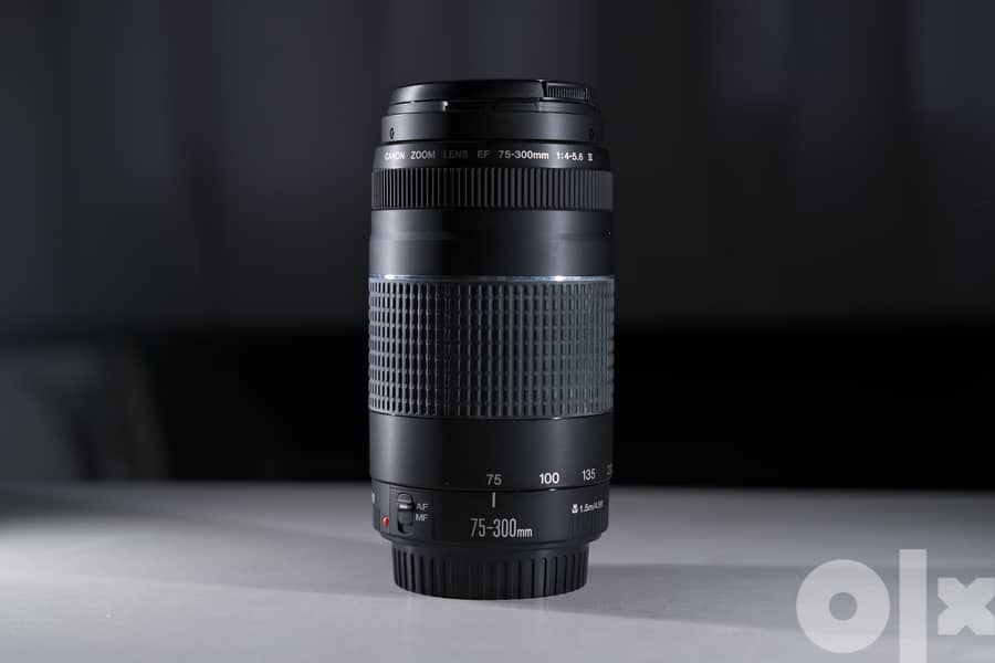 Canon 60D (shutter count 451) 6